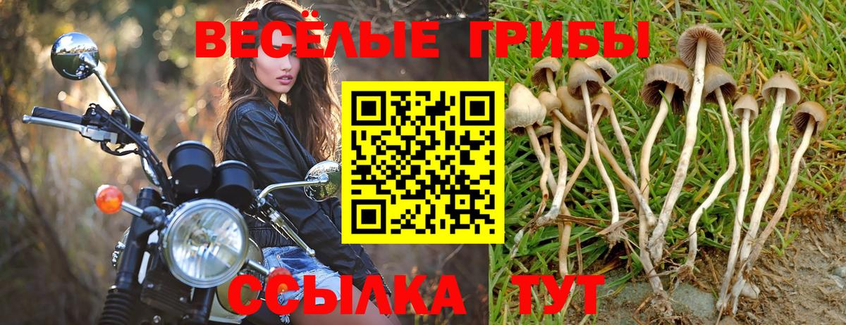 Галлюциногенные грибы Magic Shrooms  Вход с VPN  Балаково 